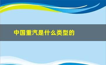 “中国重汽是什么类型的股票